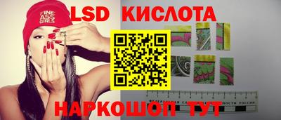 прущие грибы Камышлов