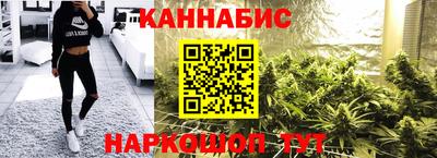 прущие грибы Камышлов