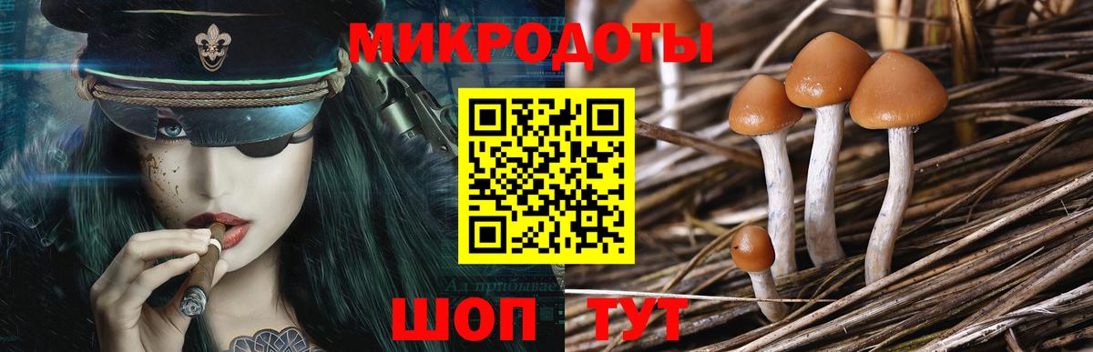 Галлюциногенные грибы мухоморы  Вход с VPN  Буйнакск 